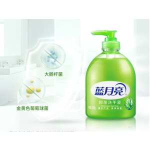 蓝月亮 芦荟抑菌洗手液 500g瓶+500g瓶补充装 抑菌99.9% 泡沫丰富