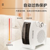 志高（CHIGO） 取暖器电暖器电暖气 办公室卧室家用暖风机电暖风便携式立卧两用暖气机P1款 白色温控款